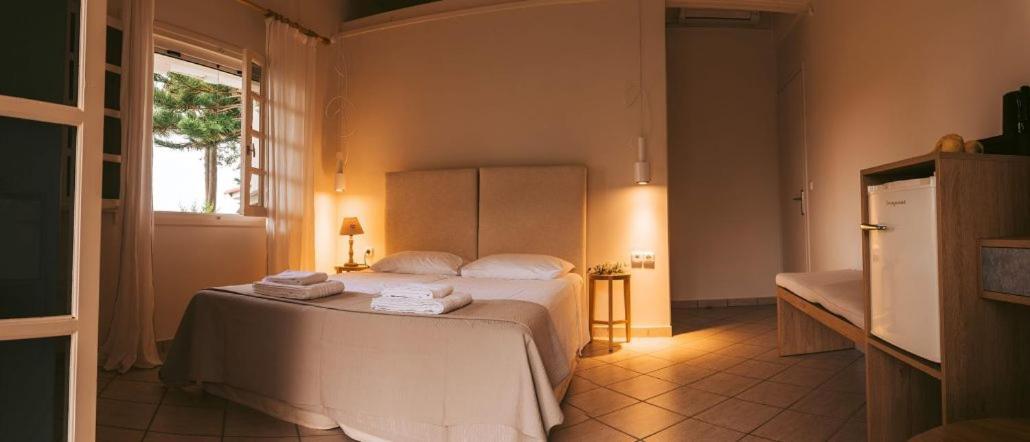 Villa Kastri Apartments Βασιλική Εξωτερικό φωτογραφία